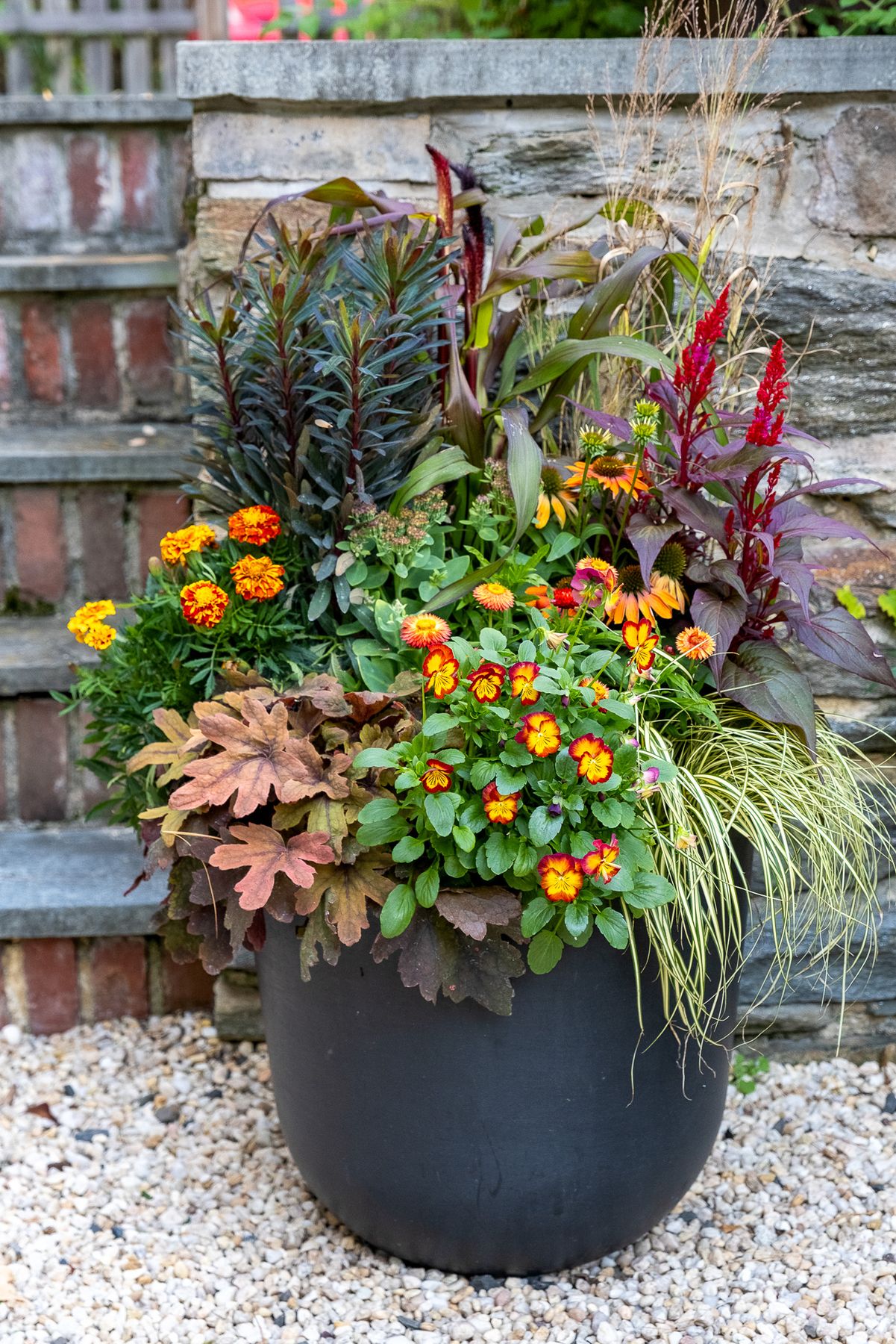 Enliven Planters fall container arrangement